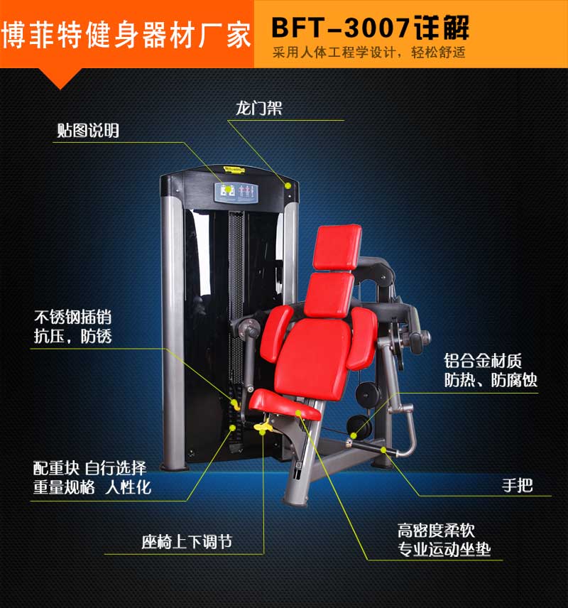 坐姿二头肌向日葵视频网页版