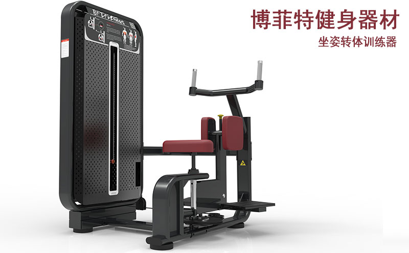 坐式转体向日葵视频网页版厂家批发直销